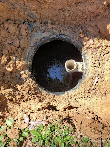 Lush green grass or unusually healthy plants above the septic tank