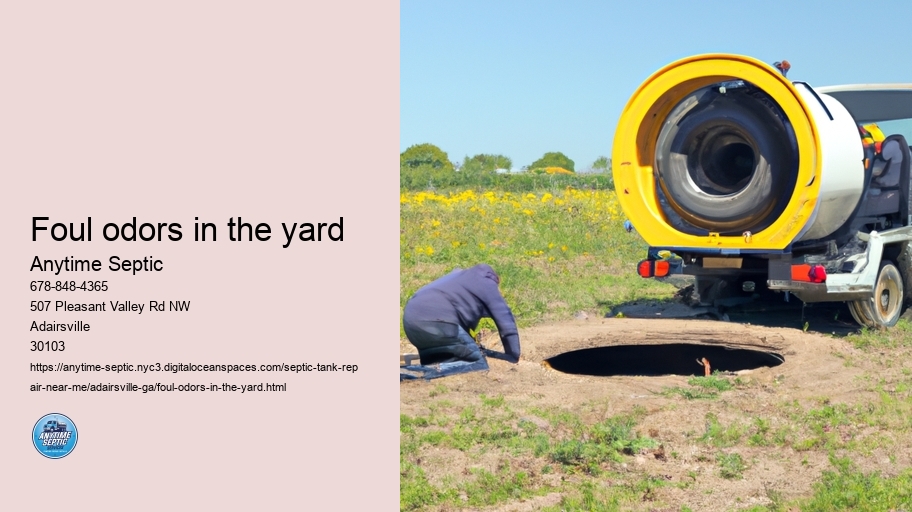 Foul odors in the yard